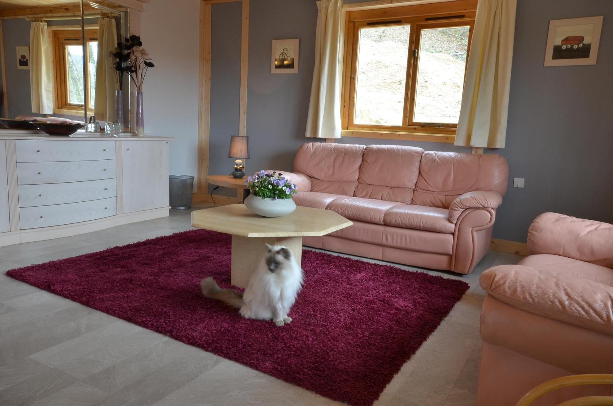 Woodlands Cottage Treignac 외부 사진